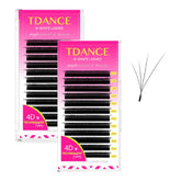 Tdance Fox Slanted W 4D