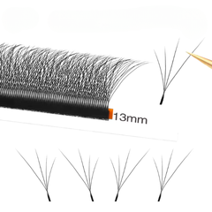 TDANCE Fox Slanted W 4D