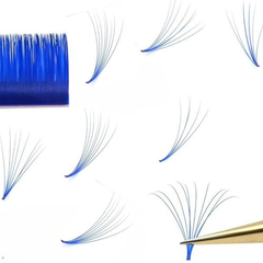 Nagaraku autofloracion color