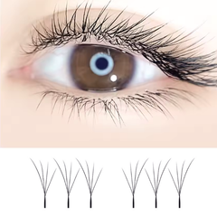 TDANCE Fox Slanted W 4D