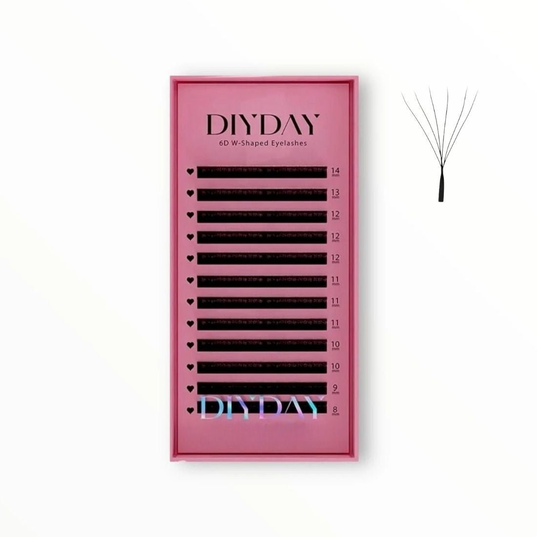 Diyday W 6D