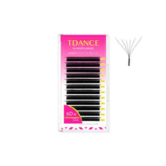TDANCE W6D