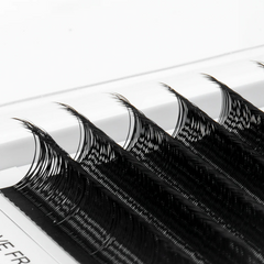 TDANCE YY LASHES