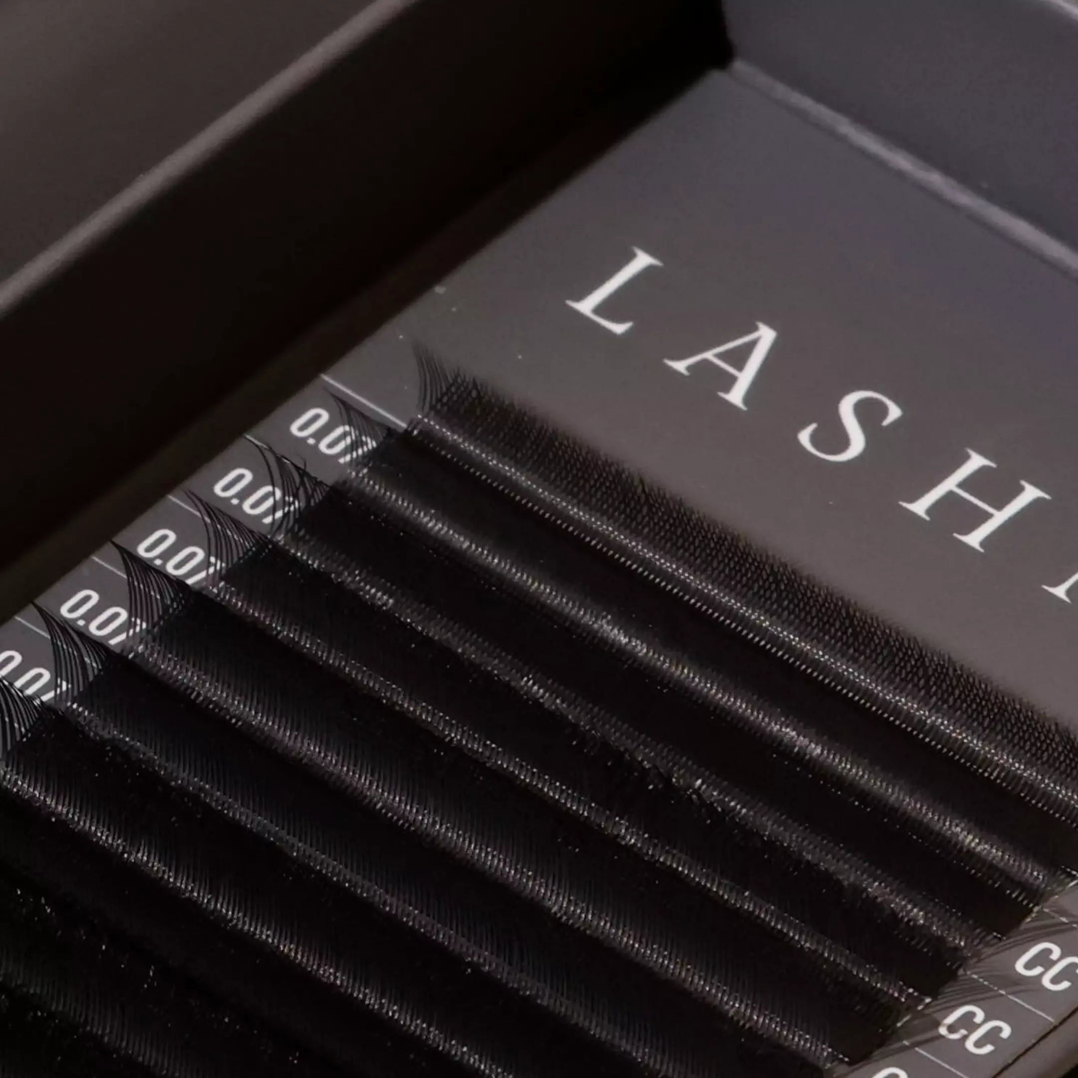 LASHMX TECNOLOGICAS W